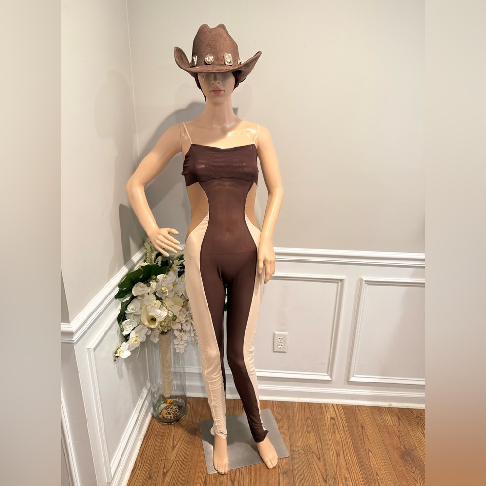 Sheer Brown and Tan Jumpsuit